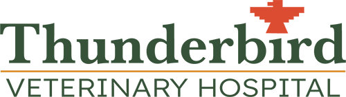 Thunderbird Veterinary Hospital